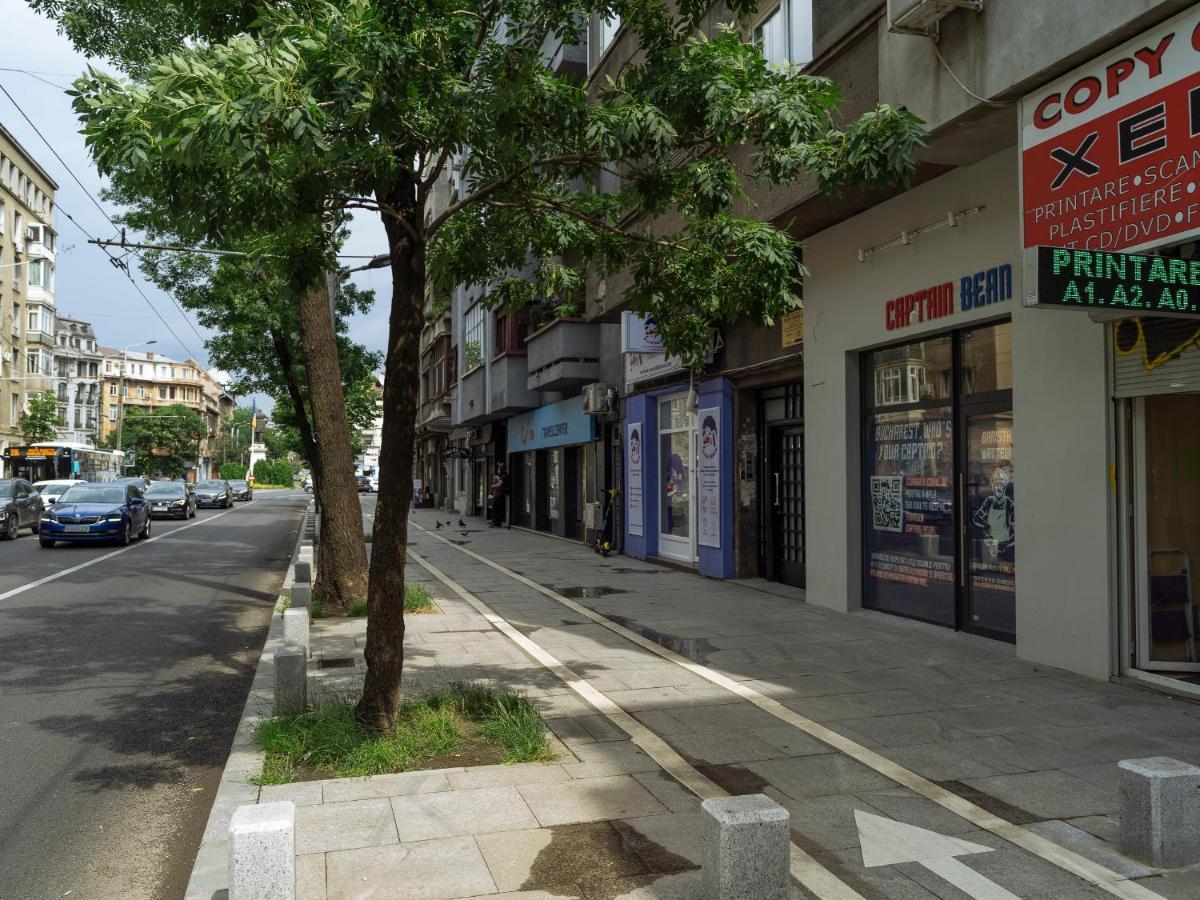 Beautiful Modern Studio - Cismigiu Park - Netflix บูคาเรสต์ ภายนอก รูปภาพ